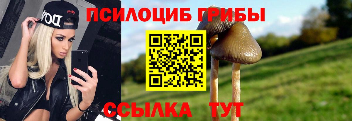 Амурск  Псилоцибиновые грибы Cubensis  Вход с VPN  Галлюциногенные грибы Psilocybine cubensis 